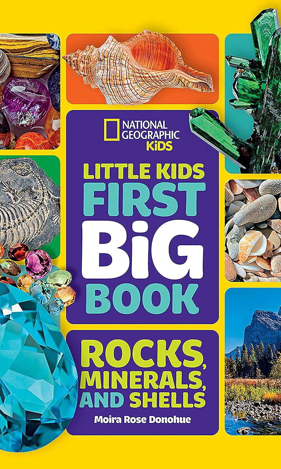 Book Cover - Little Kids' First Big Book of Rocks, Minerals, and Shells