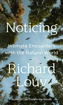 Book Cover - Noticing